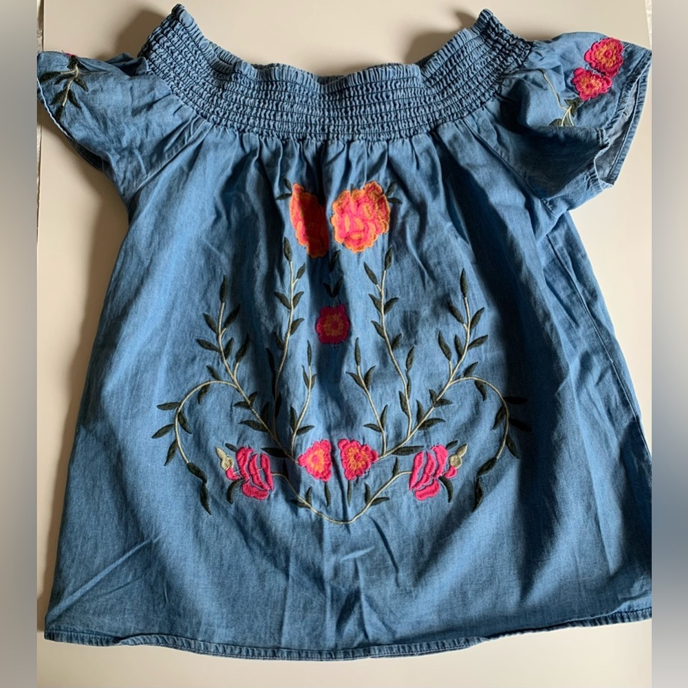 Francesca denim look embroidered top.